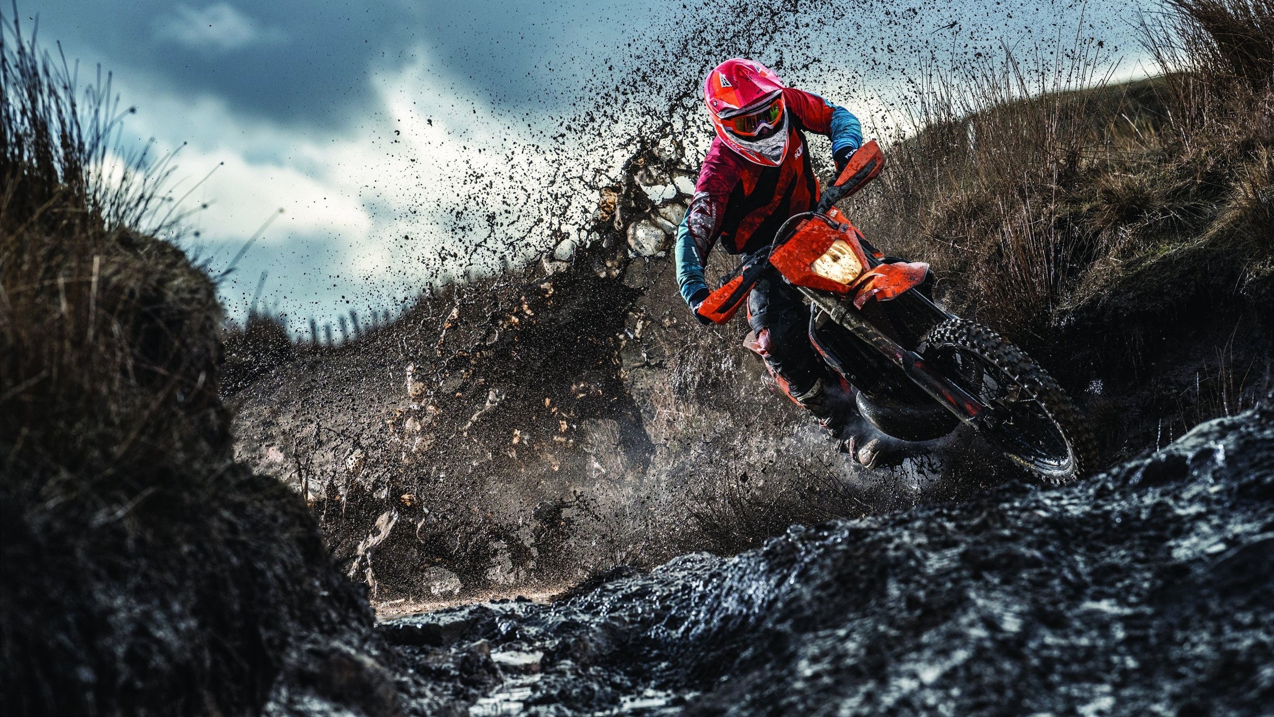 拉梅洛主宰比赛走向，国王逆转独行侠，当华丽数据遇上团队意志